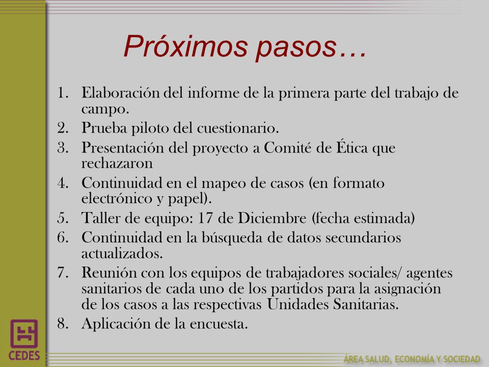 Próximos pasos… Elaboración del informe de la primera parte del trabajo de campo. Prueba piloto del cuestionario.