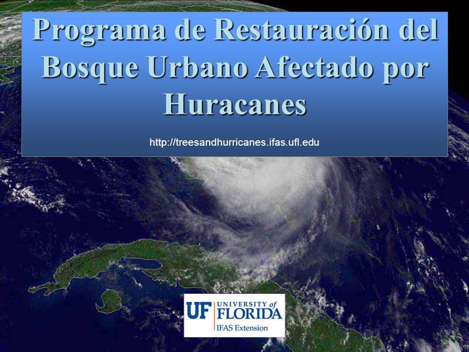 Programa de Restauración del Bosque Urbano Afectado por Huracanes