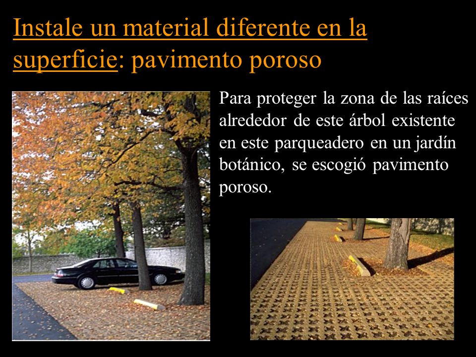 Instale un material diferente en la superficie: pavimento poroso