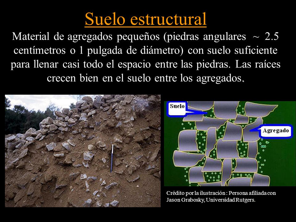 Suelo estructural Material de agregados pequeños (piedras angulares ~ 2.5 centímetros o 1 pulgada de diámetro) con suelo suficiente para llenar casi todo el espacio entre las piedras. Las raíces crecen bien en el suelo entre los agregados.