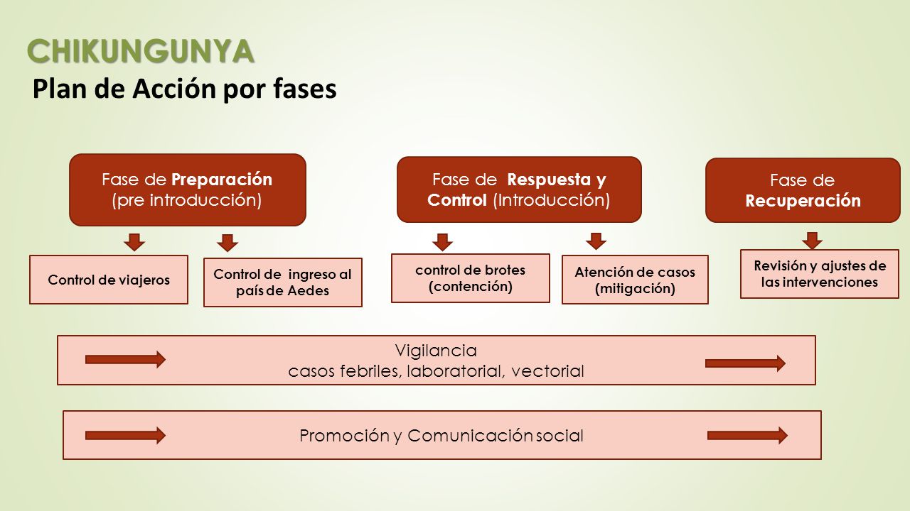 CHIKUNGUNYA Plan de Acción por fases Fase de Preparación