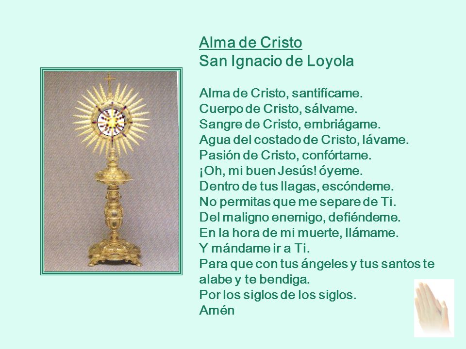 Alma de Cristo San Ignacio de Loyola Alma de Cristo, santifícame.