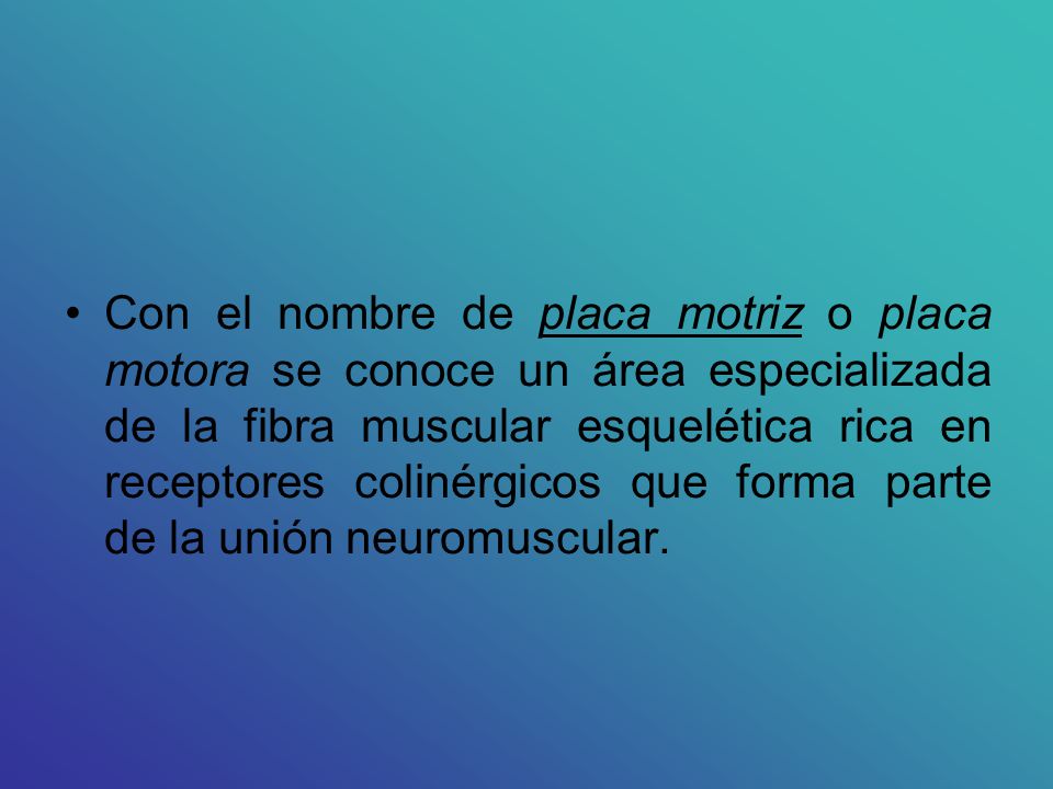 Con el nombre de placa motriz o placa motora se conoce un área especializada de la fibra muscular esquelética rica en receptores colinérgicos que forma parte de la unión neuromuscular.