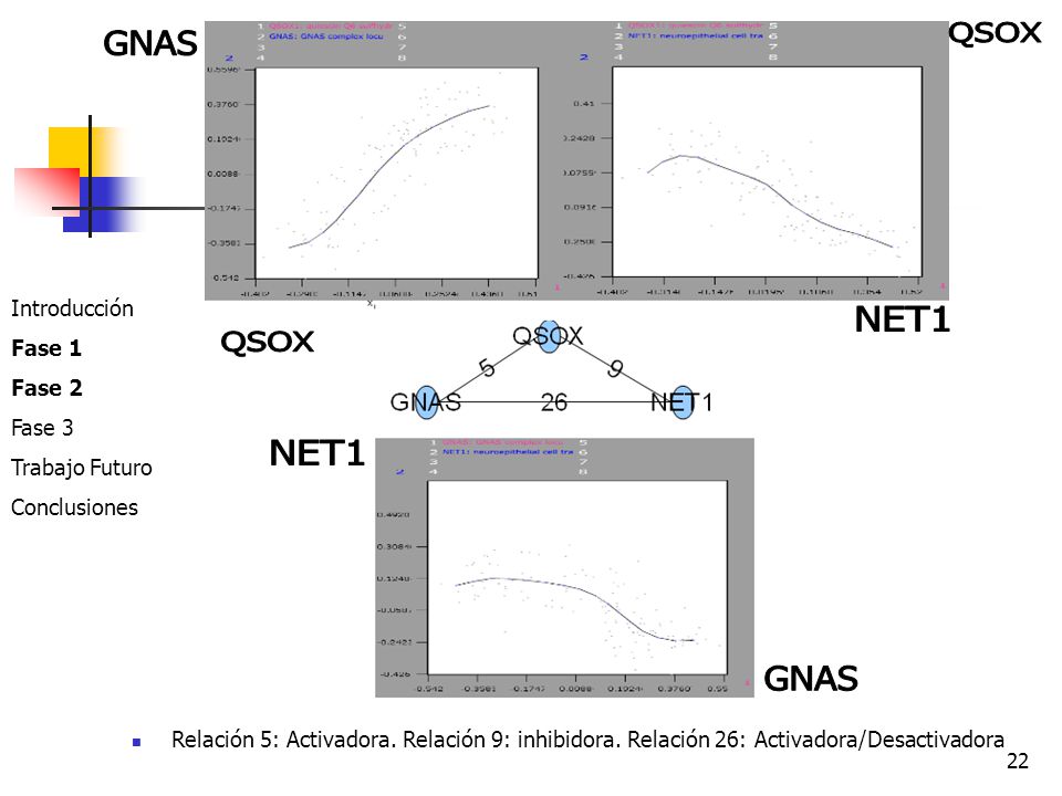 QSOX GNAS NET1 QSOX NET1 GNAS Introducción Fase 1 Fase 2 Fase 3