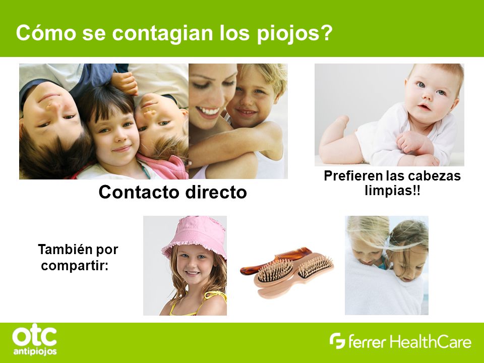 Cómo se contagian los piojos