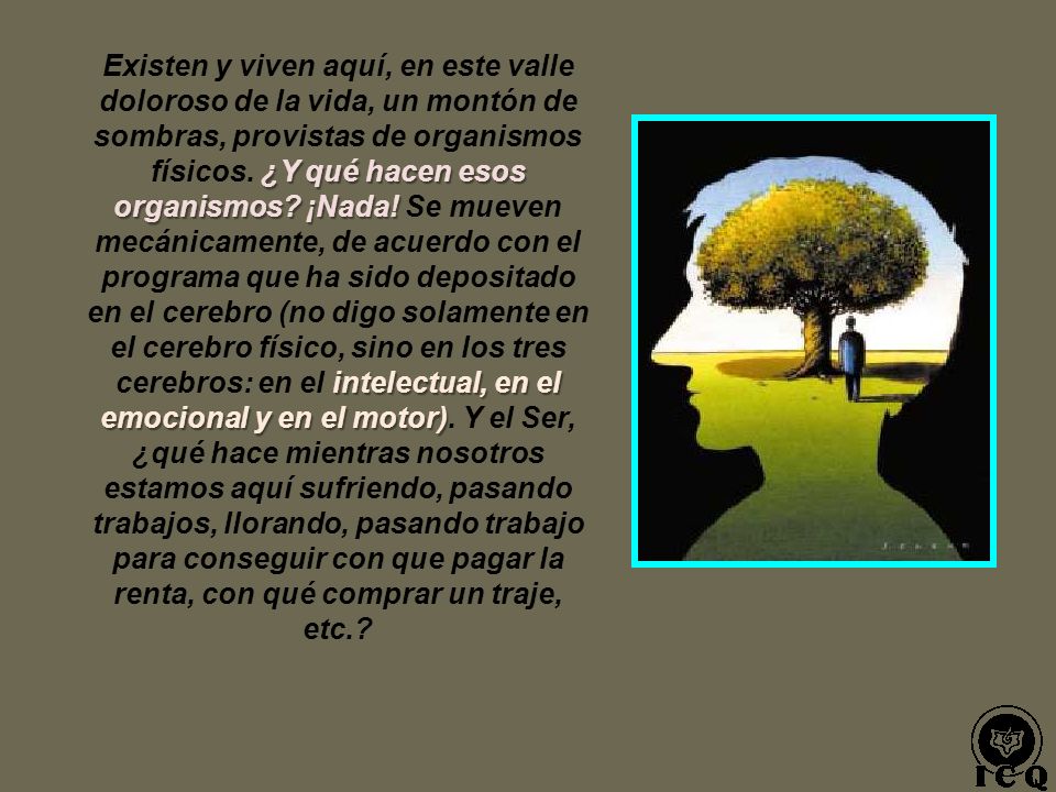 Existen y viven aquí, en este valle doloroso de la vida, un montón de sombras, provistas de organismos físicos.