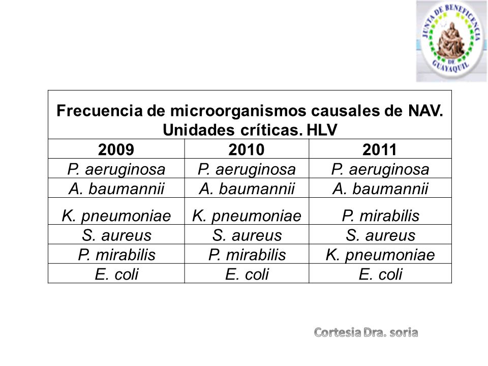 Frecuencia de microorganismos causales de NAV. Unidades críticas. HLV