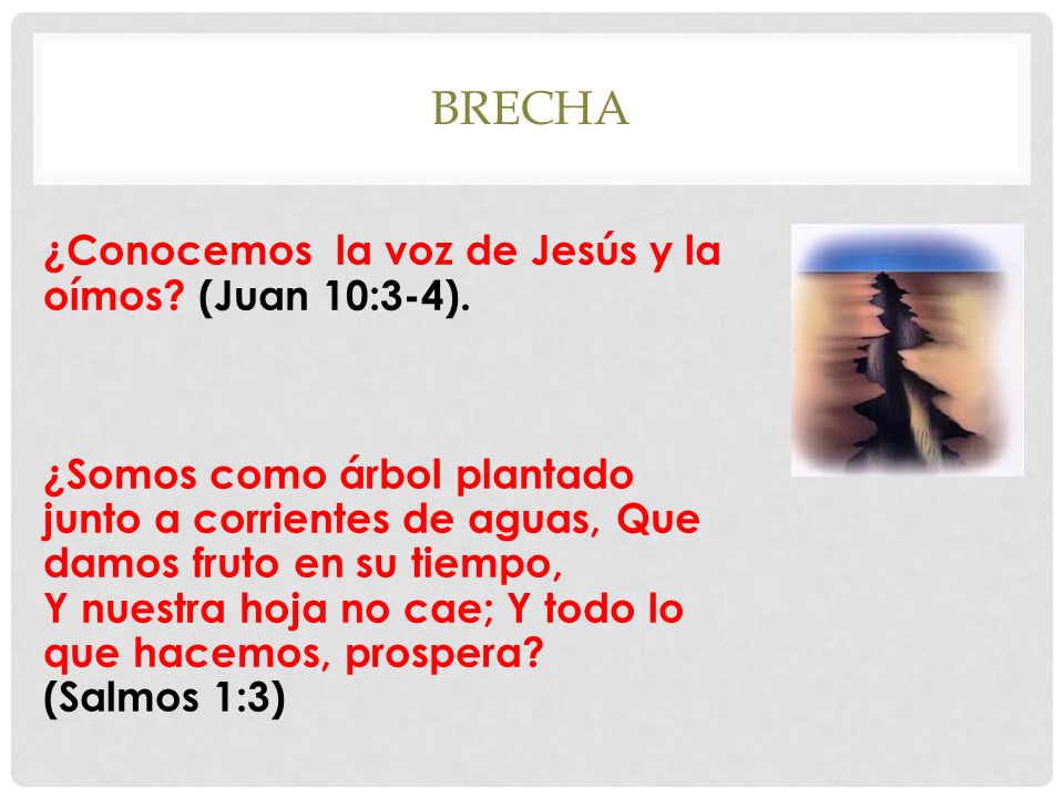 brecha ¿Conocemos la voz de Jesús y la oímos (Juan 10:3-4).