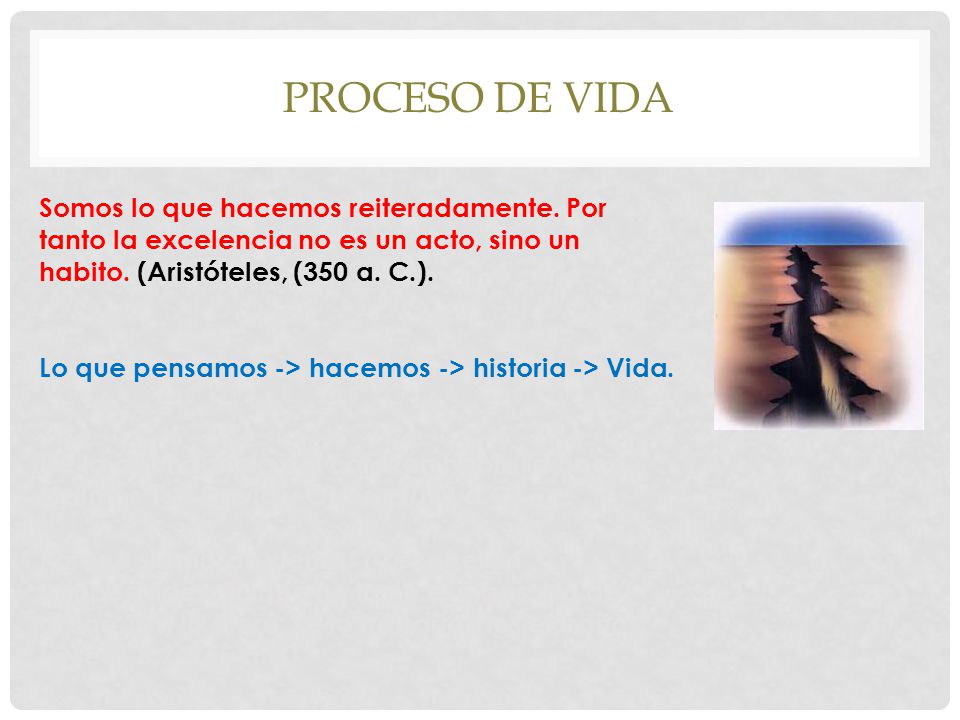 Proceso de vida Somos lo que hacemos reiteradamente. Por tanto la excelencia no es un acto, sino un habito. (Aristóteles, (350 a. C.).