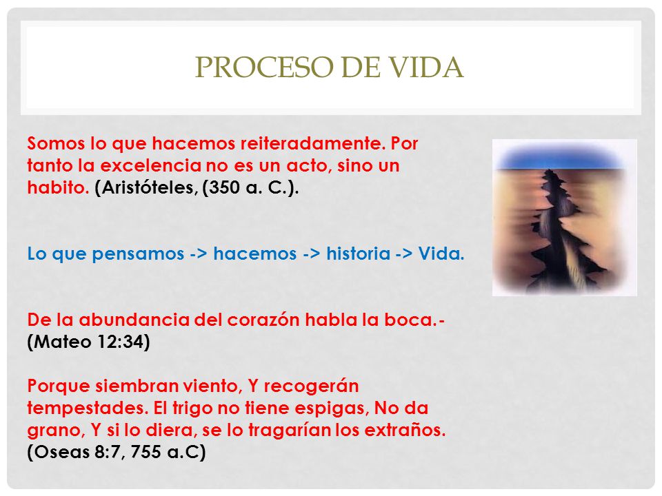 Proceso de vida Somos lo que hacemos reiteradamente. Por tanto la excelencia no es un acto, sino un habito. (Aristóteles, (350 a. C.).