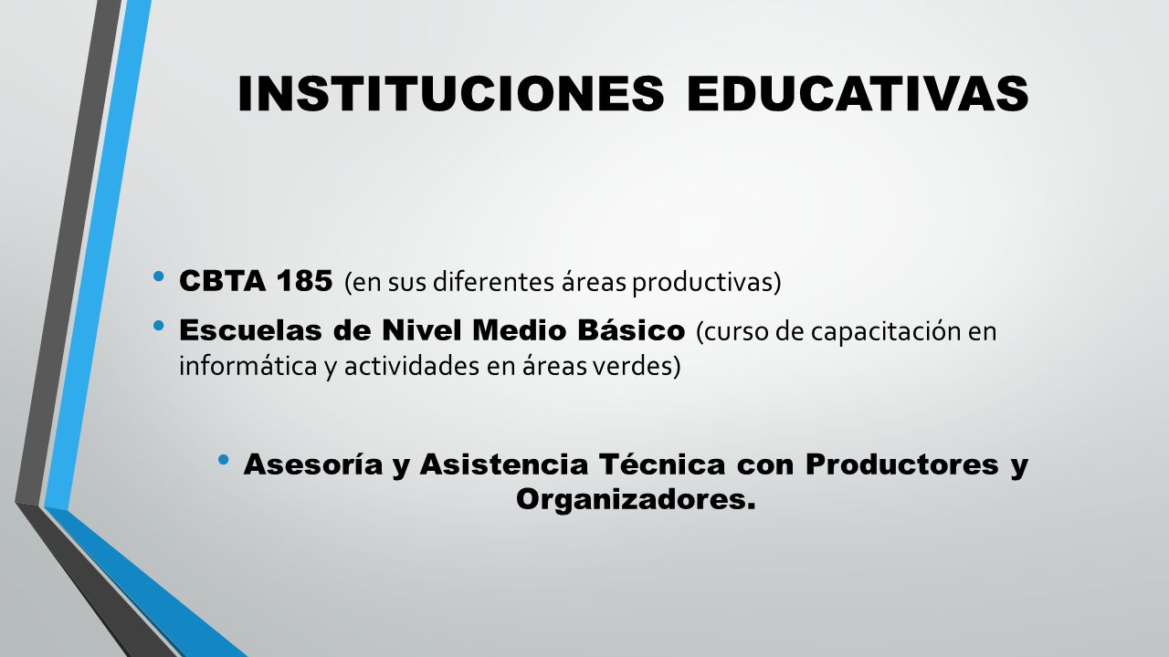 INSTITUCIONES EDUCATIVAS