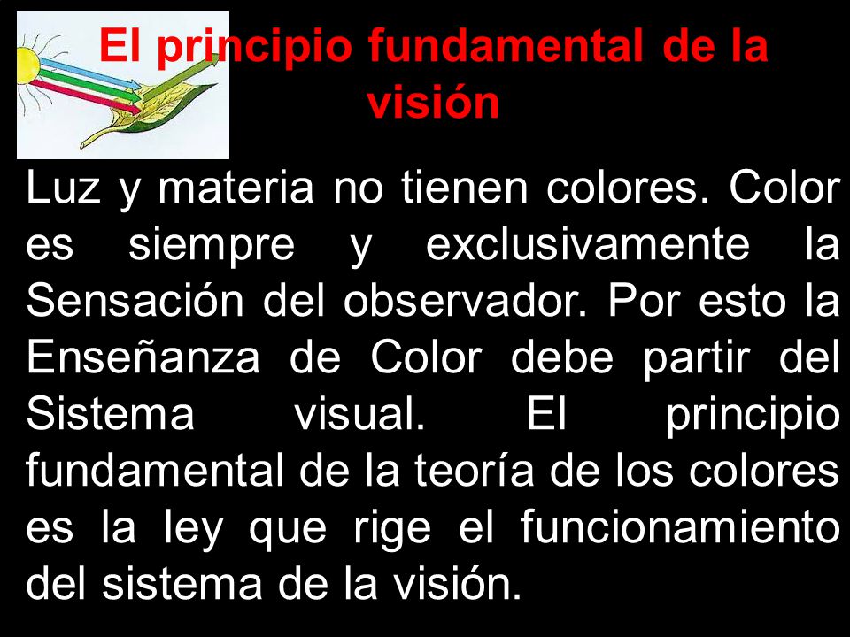 El principio fundamental de la visión