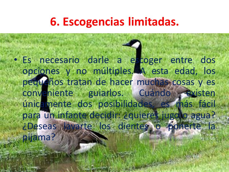 6. Escogencias limitadas.