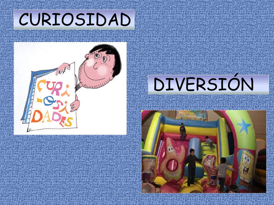 CURIOSIDAD DIVERSIÓN