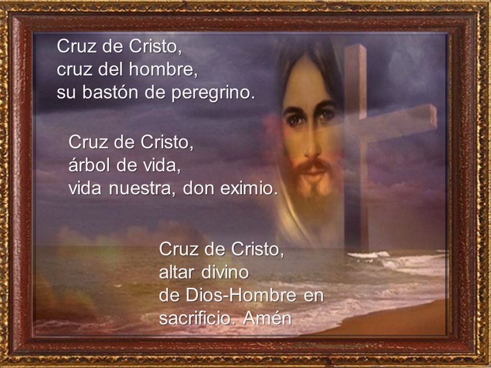 Cruz de Cristo, cruz del hombre, su bastón de peregrino. Cruz de Cristo, árbol de vida, vida nuestra, don eximio.
