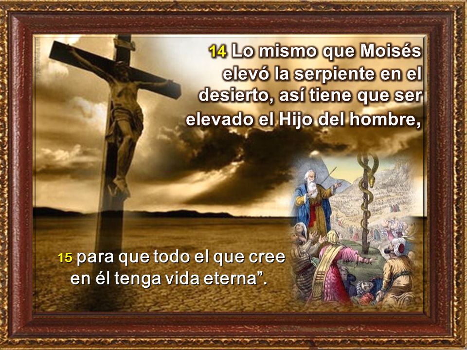 15 para que todo el que cree en él tenga vida eterna .