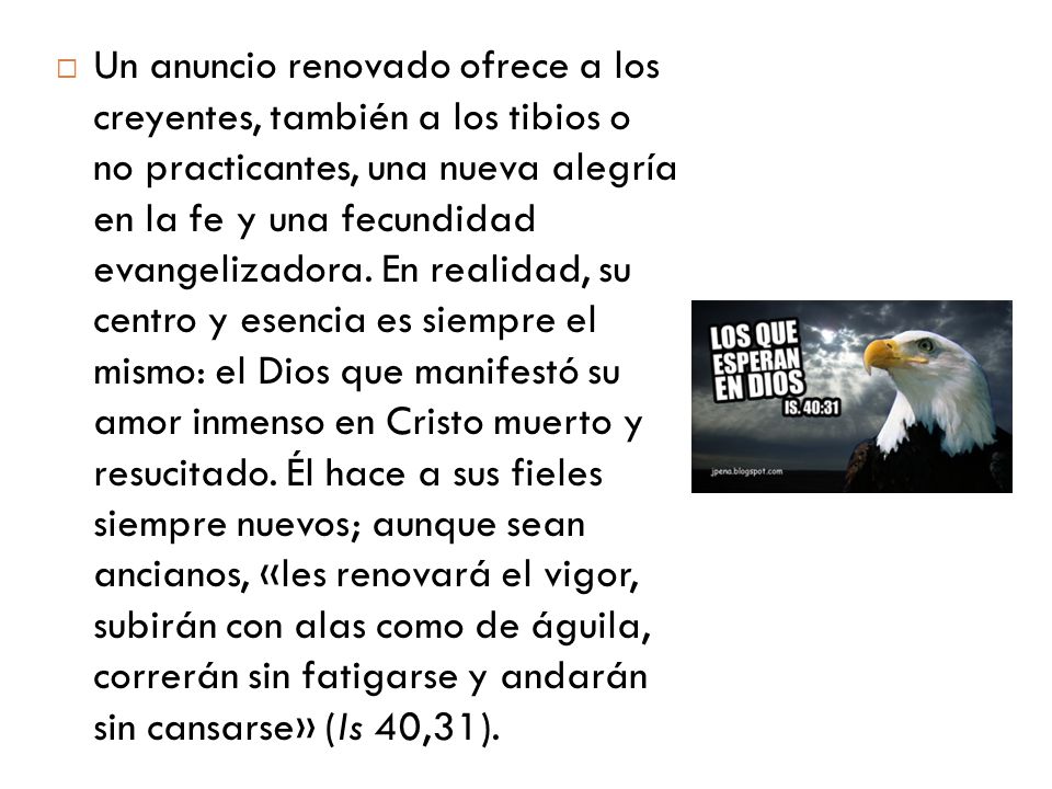 Un anuncio renovado ofrece a los creyentes, también a los tibios o no practicantes, una nueva alegría en la fe y una fecundidad evangelizadora.