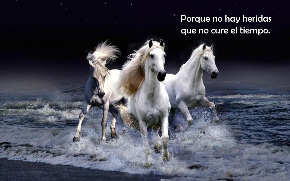 Porque no hay heridas que no cure el tiempo.