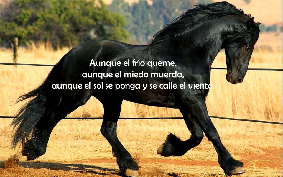 Aunque el frío queme, aunque el miedo muerda, aunque el sol se ponga y se calle el viento,