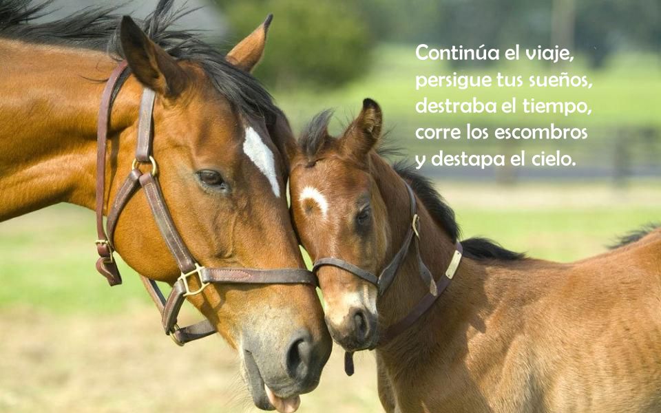 Continúa el viaje, persigue tus sueños, destraba el tiempo, corre los escombros y destapa el cielo.