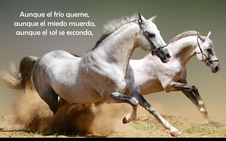 Aunque el frío queme, aunque el miedo muerda, aunque el sol se esconda,