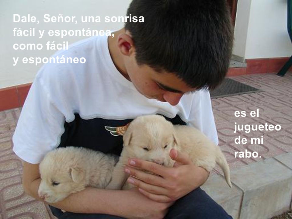 Dale, Señor, una sonrisa fácil y espontánea, como fácil y espontáneo es el jugueteo de mi rabo.