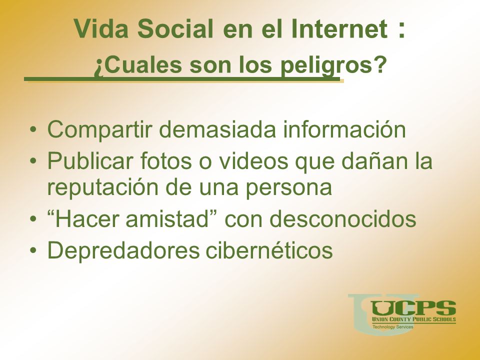 Vida Social en el Internet : ¿Cuales son los peligros
