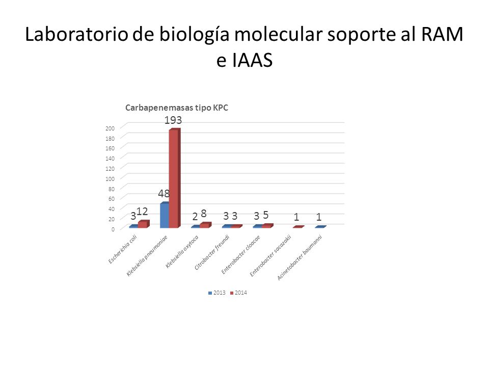Laboratorio de biología molecular soporte al RAM e IAAS