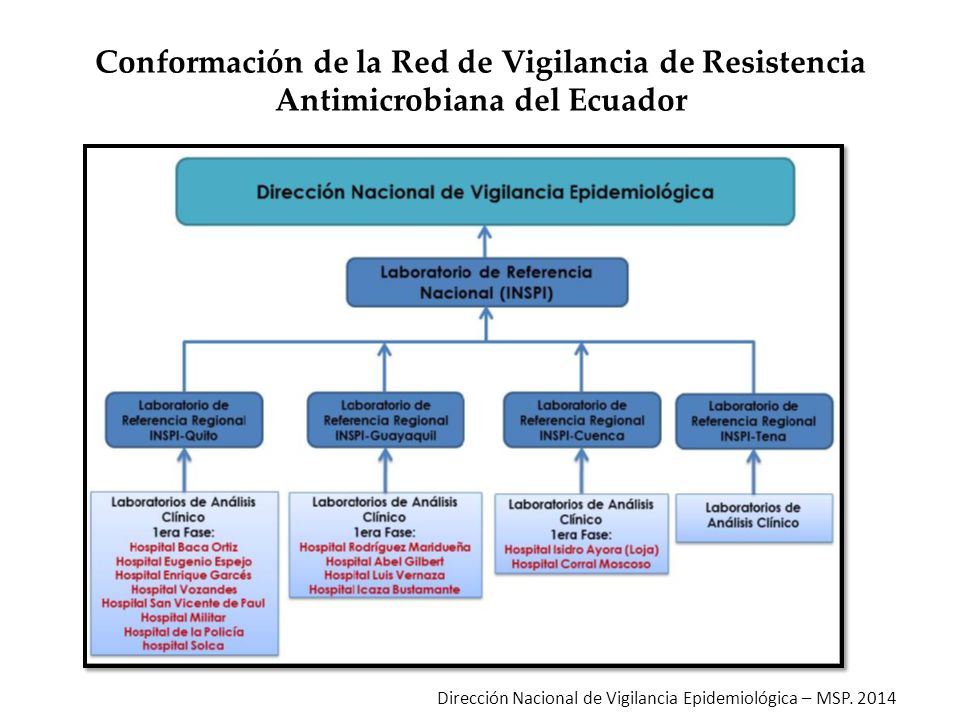 Conformación de la Red de Vigilancia de Resistencia Antimicrobiana del Ecuador