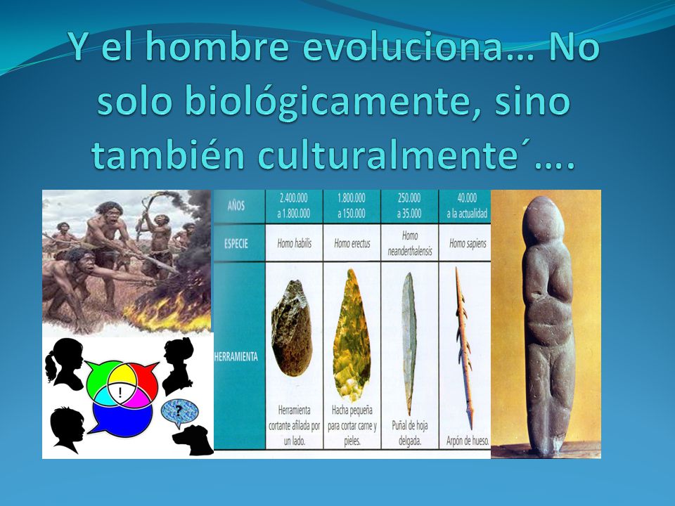 Y el hombre evoluciona… No solo biológicamente, sino también culturalmente´….
