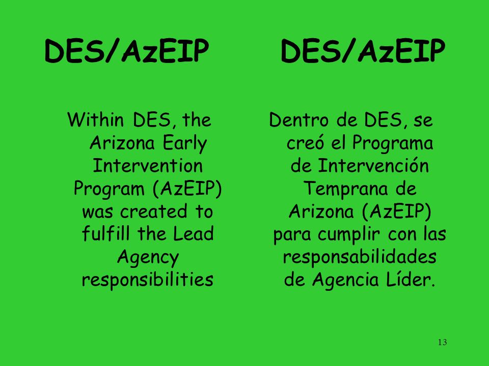 DES/AzEIP DES/AzEIP. Within DES, the Arizona Early Intervention Program (AzEIP) was created to fulfill the Lead Agency responsibilities.
