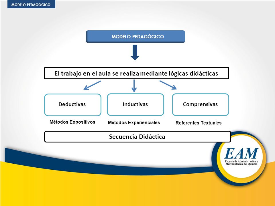 El trabajo en el aula se realiza mediante lógicas didácticas