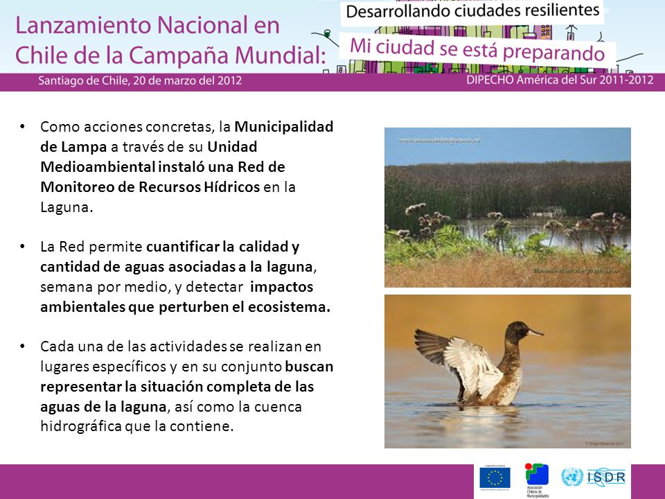 Como acciones concretas, la Municipalidad de Lampa a través de su Unidad Medioambiental instaló una Red de Monitoreo de Recursos Hídricos en la Laguna.