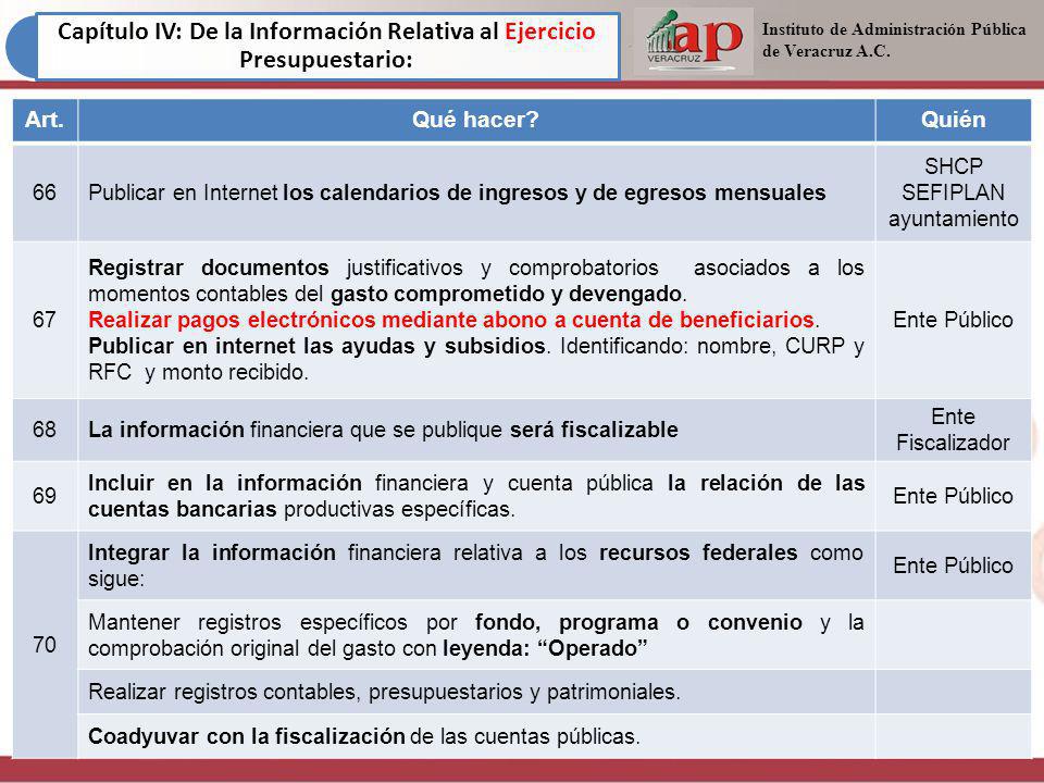 Capítulo IV: De la Información Relativa al Ejercicio Presupuestario:
