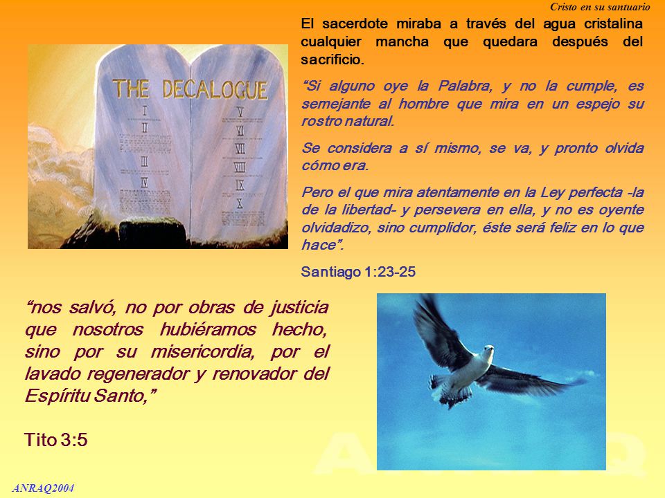 El sacerdote miraba a través del agua cristalina cualquier mancha que quedara después del sacrificio.