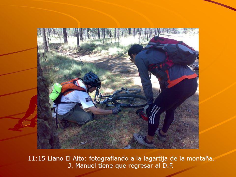 11:15 Llano El Alto: fotografiando a la lagartija de la montaña.