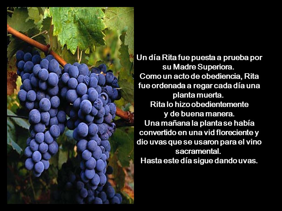 Un día Rita fue puesta a prueba por su Madre Superiora.