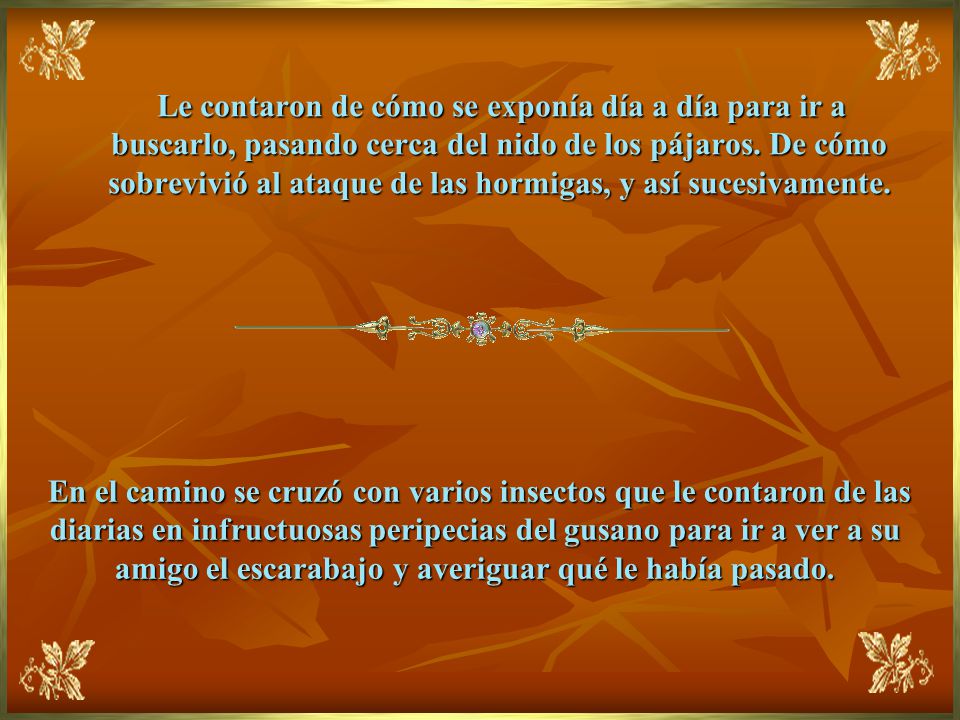 Le contaron de cómo se exponía día a día para ir a buscarlo, pasando cerca del nido de los pájaros. De cómo sobrevivió al ataque de las hormigas, y así sucesivamente.