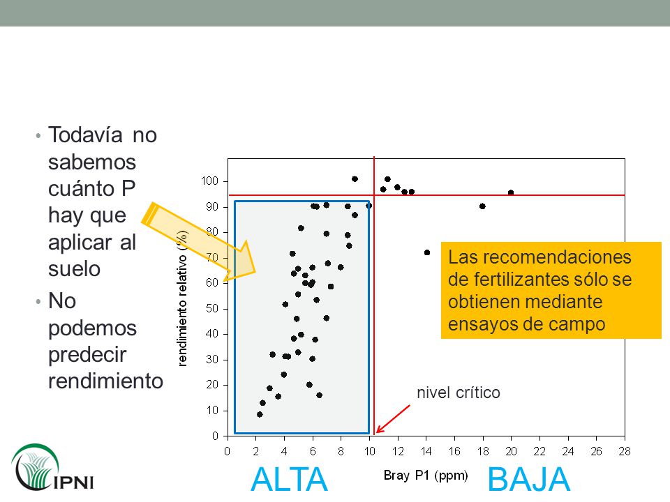 ALTA BAJA Todavía no sabemos cuánto P hay que aplicar al suelo