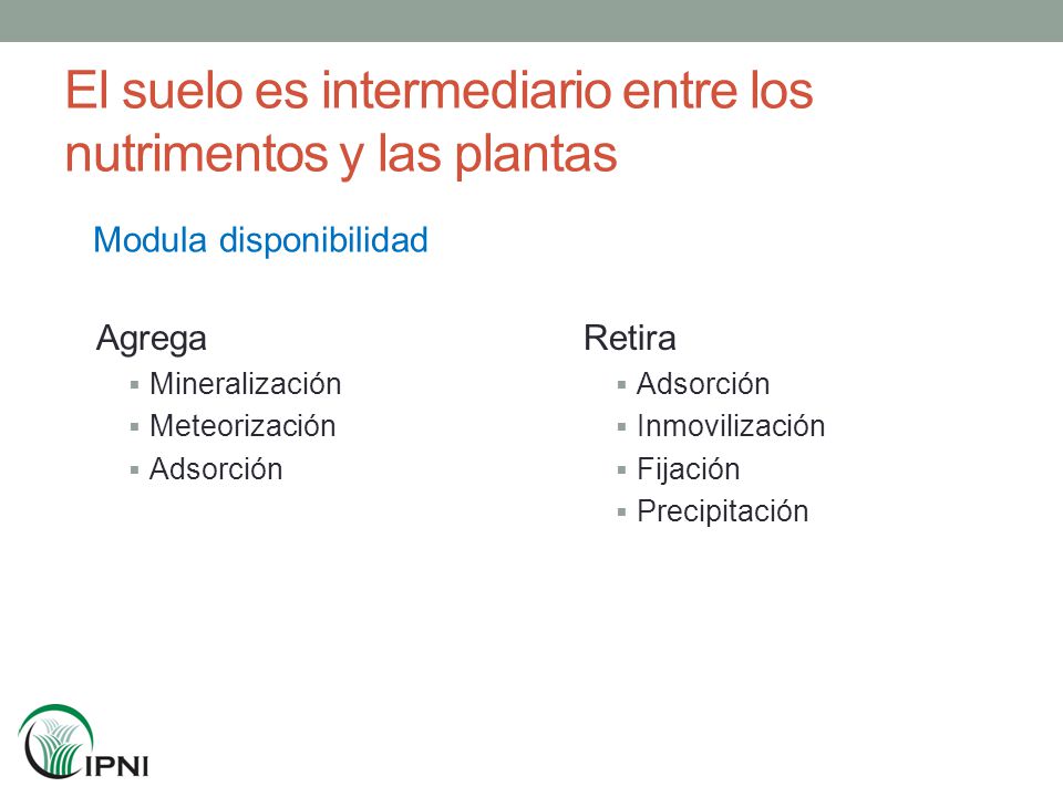 El suelo es intermediario entre los nutrimentos y las plantas