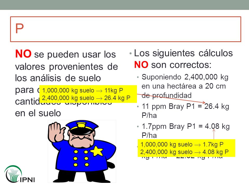 P NO se pueden usar los valores provenientes de los análisis de suelo para calcular cantidades disponibles en el suelo.