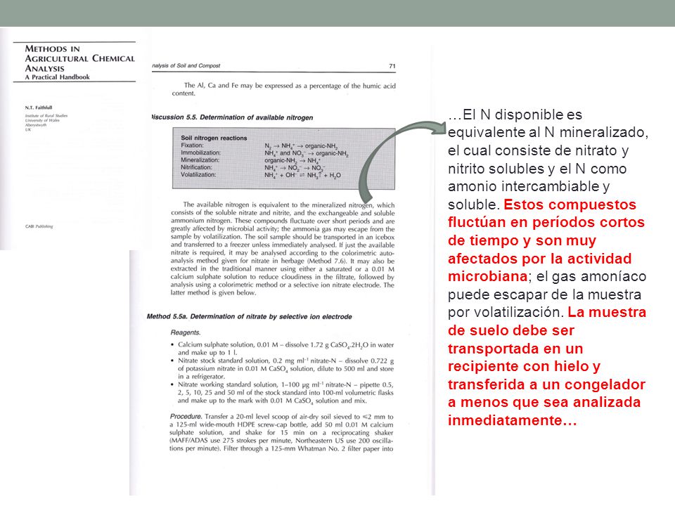 …El N disponible es equivalente al N mineralizado, el cual consiste de nitrato y nitrito solubles y el N como amonio intercambiable y soluble.