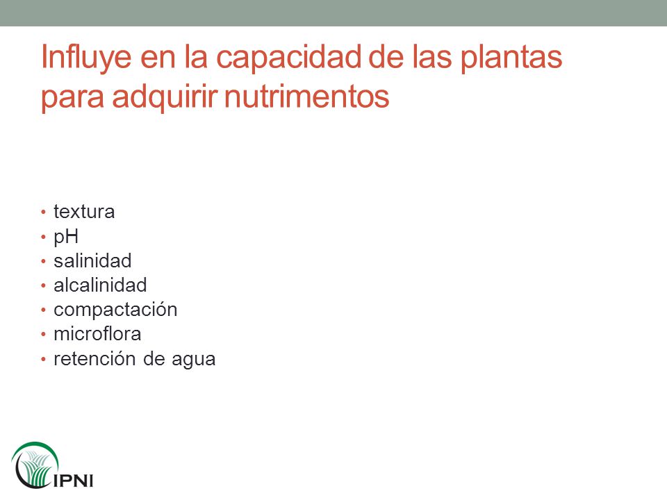 Influye en la capacidad de las plantas para adquirir nutrimentos