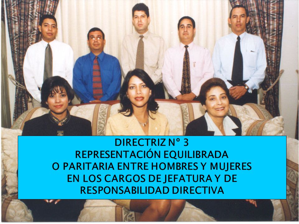 DIRECTRIZ Nº 3 REPRESENTACIÓN EQUILIBRADA O PARITARIA ENTRE HOMBRES Y MUJERES EN LOS CARGOS DE JEFATURA Y DE RESPONSABILIDAD DIRECTIVA