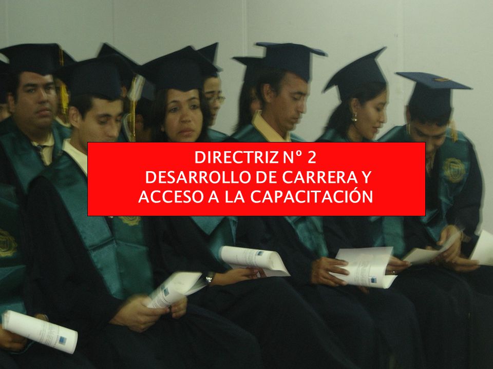 DIRECTRIZ Nº 2 DESARROLLO DE CARRERA Y ACCESO A LA CAPACITACIÓN