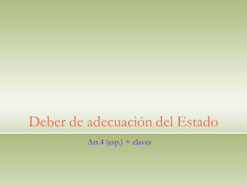 Deber de adecuación del Estado