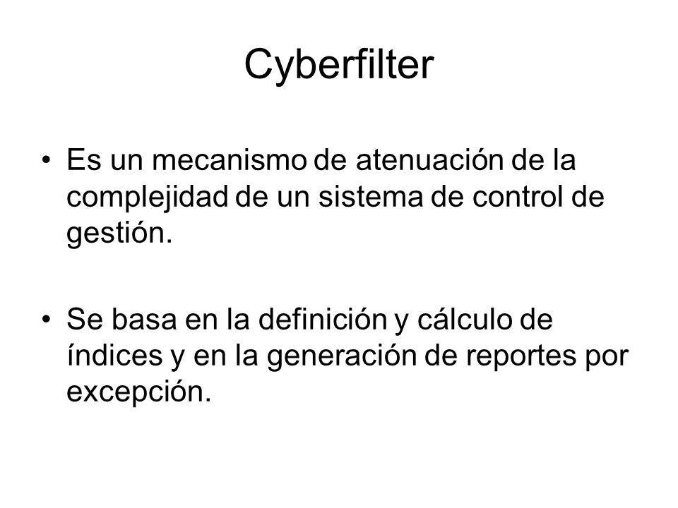 Cyberfilter Es un mecanismo de atenuación de la complejidad de un sistema de control de gestión.