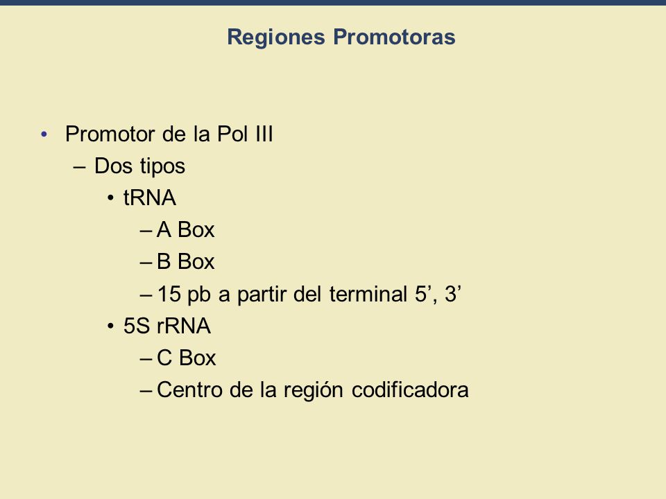 15 pb a partir del terminal 5’, 3’ 5S rRNA C Box