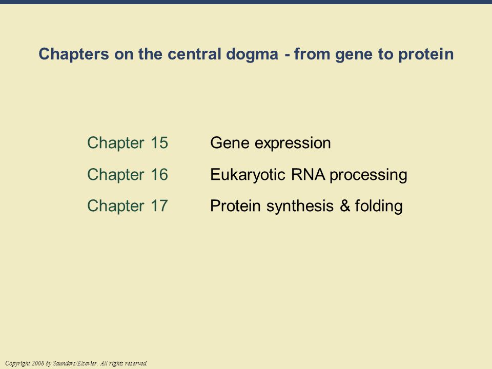 Chapters on the central dogma - from gene to protein
