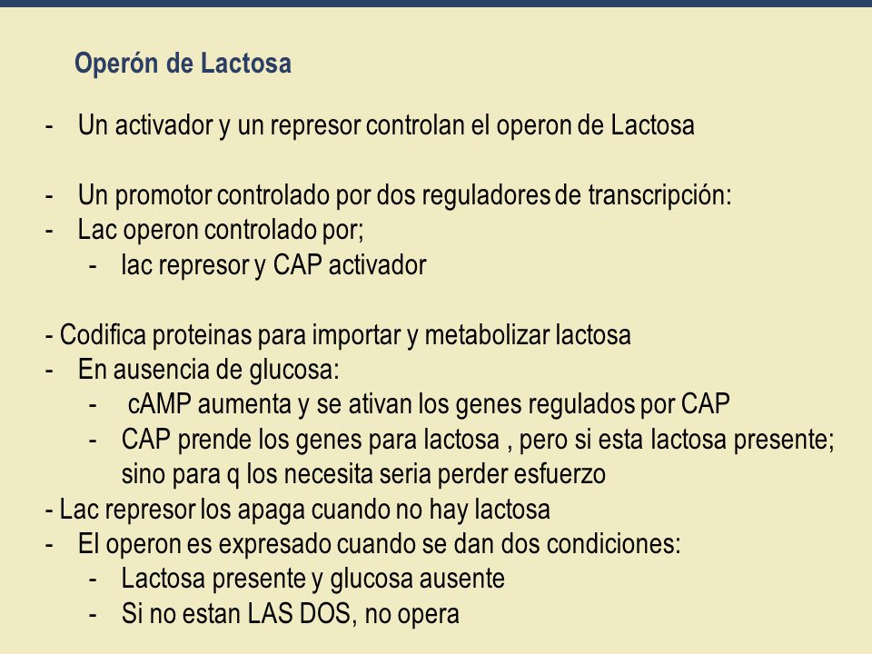 Operón de Lactosa Un activador y un represor controlan el operon de Lactosa. Un promotor controlado por dos reguladores de transcripción: